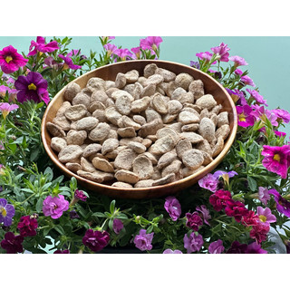 Hạt sang dạ dày lõi trắng lẻ 1 hạt chưa cạo vỏ