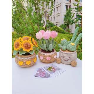 Chậu hoa tulip len handmade