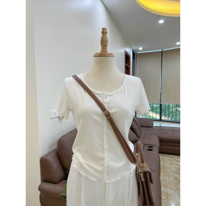 Áo ngắn tay thun cotton mềm mịn, áo cộc tay có cúc cài nhúm tay