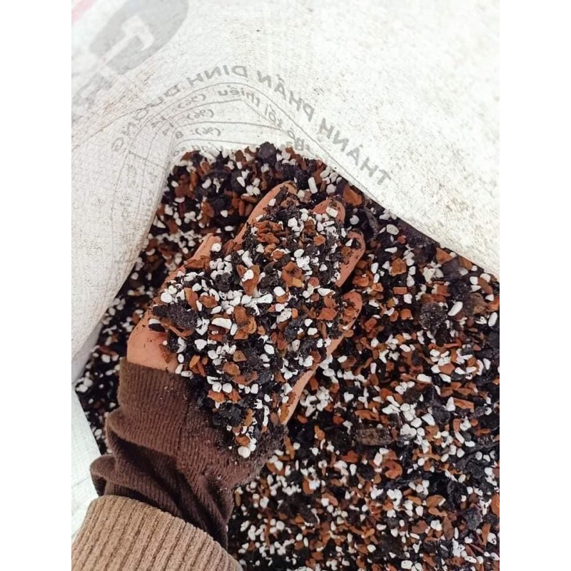 Giá thể kiểng lá siêu kích rễ