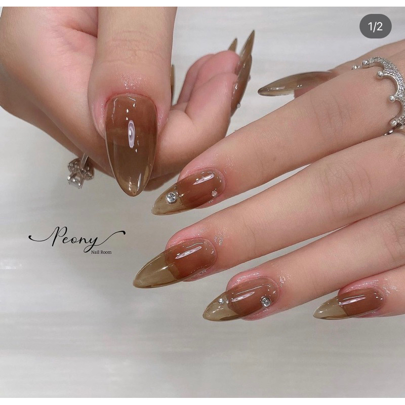 Sơn Gel thạch nâu cánh gián S