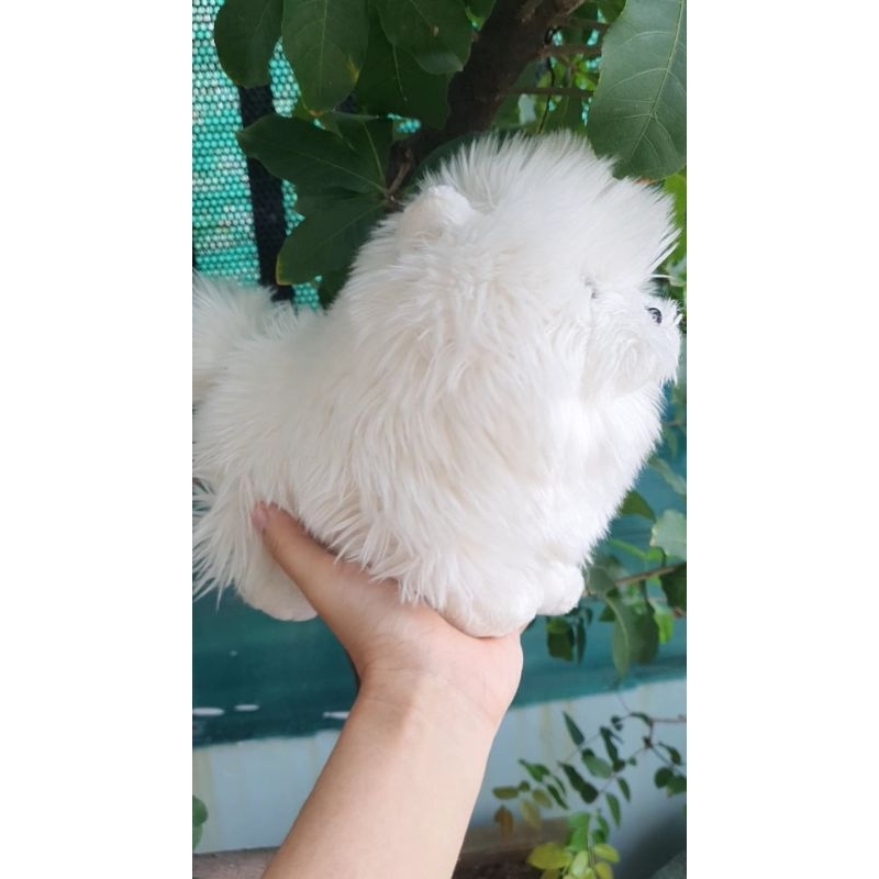Thú bông chó lông xù giống thật