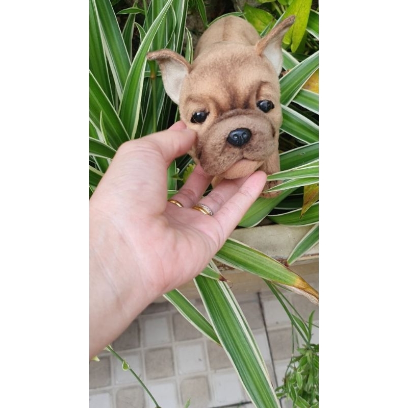 Thú bông chó pull giống thật