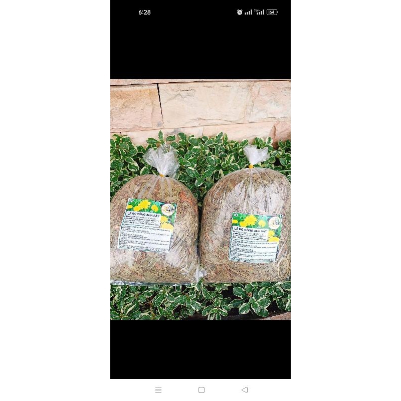 Bồ công anh 500gr