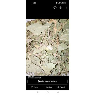 Bồ công anh 500gr