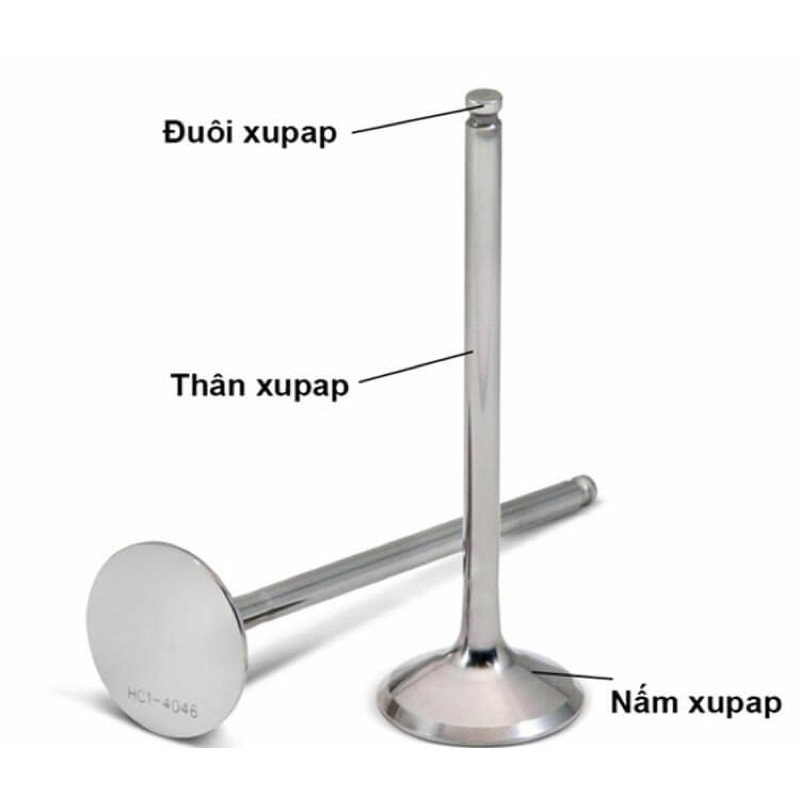 Cặp súp bắp (suppap) máy dầu Kubota - Vikyno