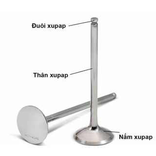 Cặp súp bắp (suppap) máy dầu Kubota - Vikyno