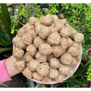 BÒ VIÊN GÂN 500gr (hoả tốc HCM)