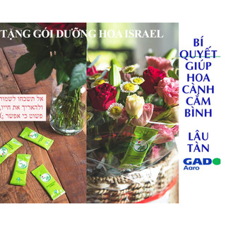 GÓI DƯỠNG HOA TƯƠI LONGLIFE CỦA ISRAEL (COMBO 30 GÓI)  GIỮ HOA TƯƠI LÂU GẤP 2 LẦN VÀ 14 NGÀY KHÔNG THAY NƯỚC MỚI