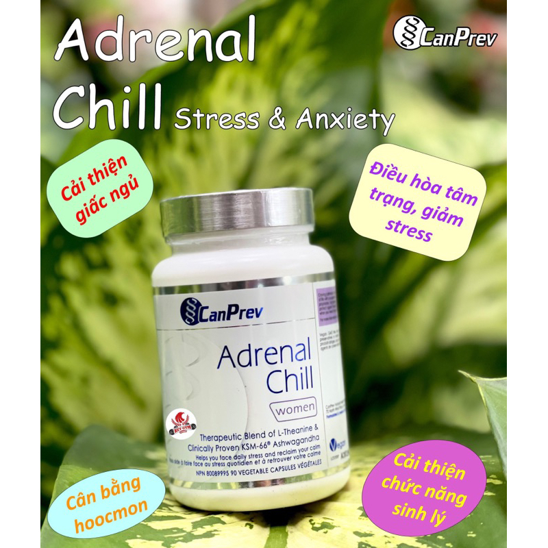 CanPrev Adrenal Chill 90 Viên - Ashwagandha KSM-66