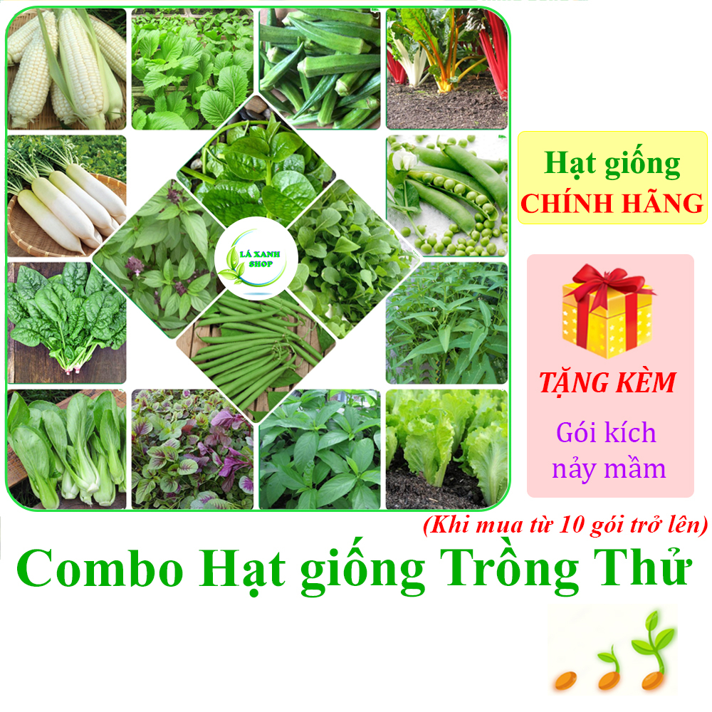 Hạt Giống Trồng Thử - Nhiều Loại Hạt giống Rau, Hạt giống Củ Quả Dễ Trồng, Tỉ Lệ Nảy Mầm Cao, Sinh Trưởng Mạnh