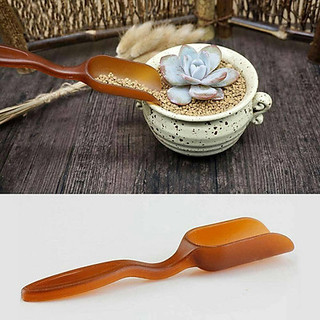 Muôi xúc đất trồng cây cảnh để bàn, sen đá, xương rồng, chậu cây mini, phụ kiện tiểu cảnh