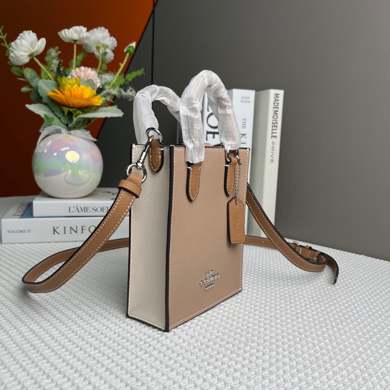 Túi coach north south mini tote