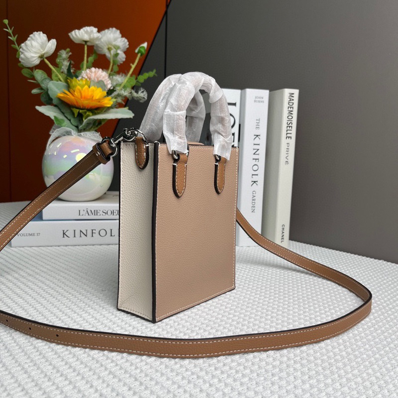 Túi coach north south mini tote