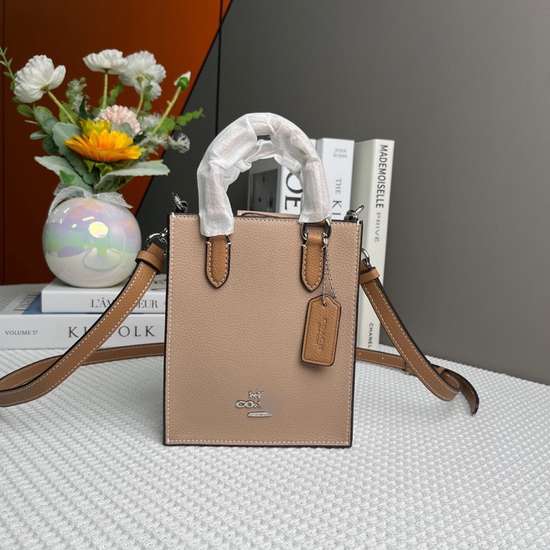 Túi coach north south mini tote