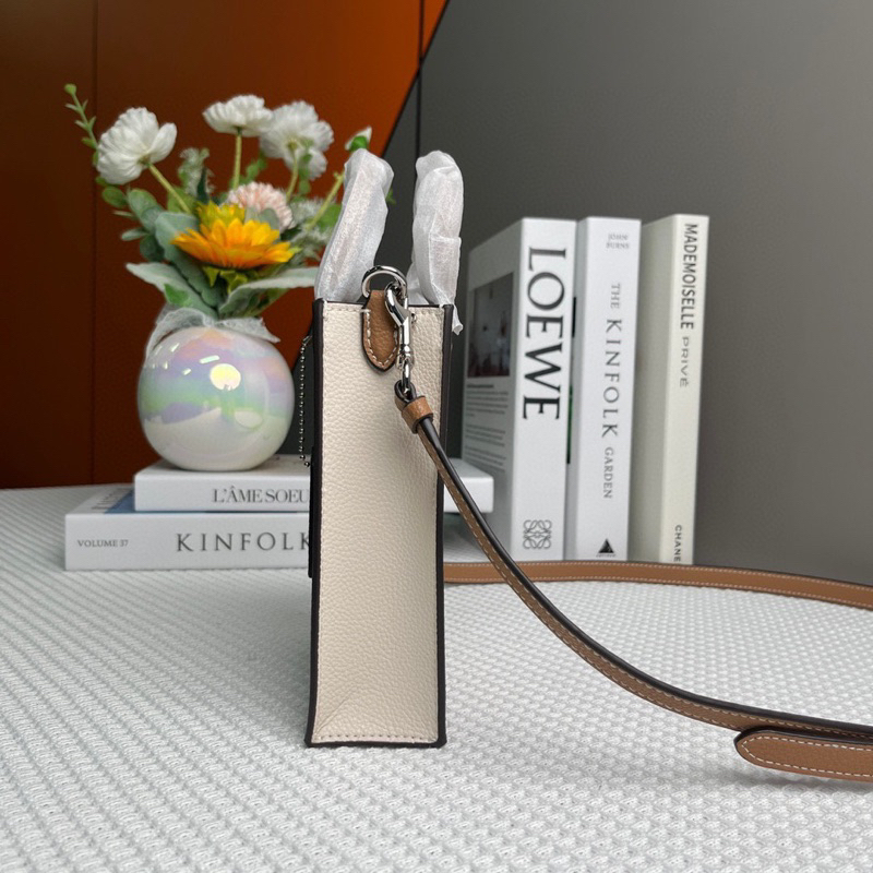 Túi coach north south mini tote