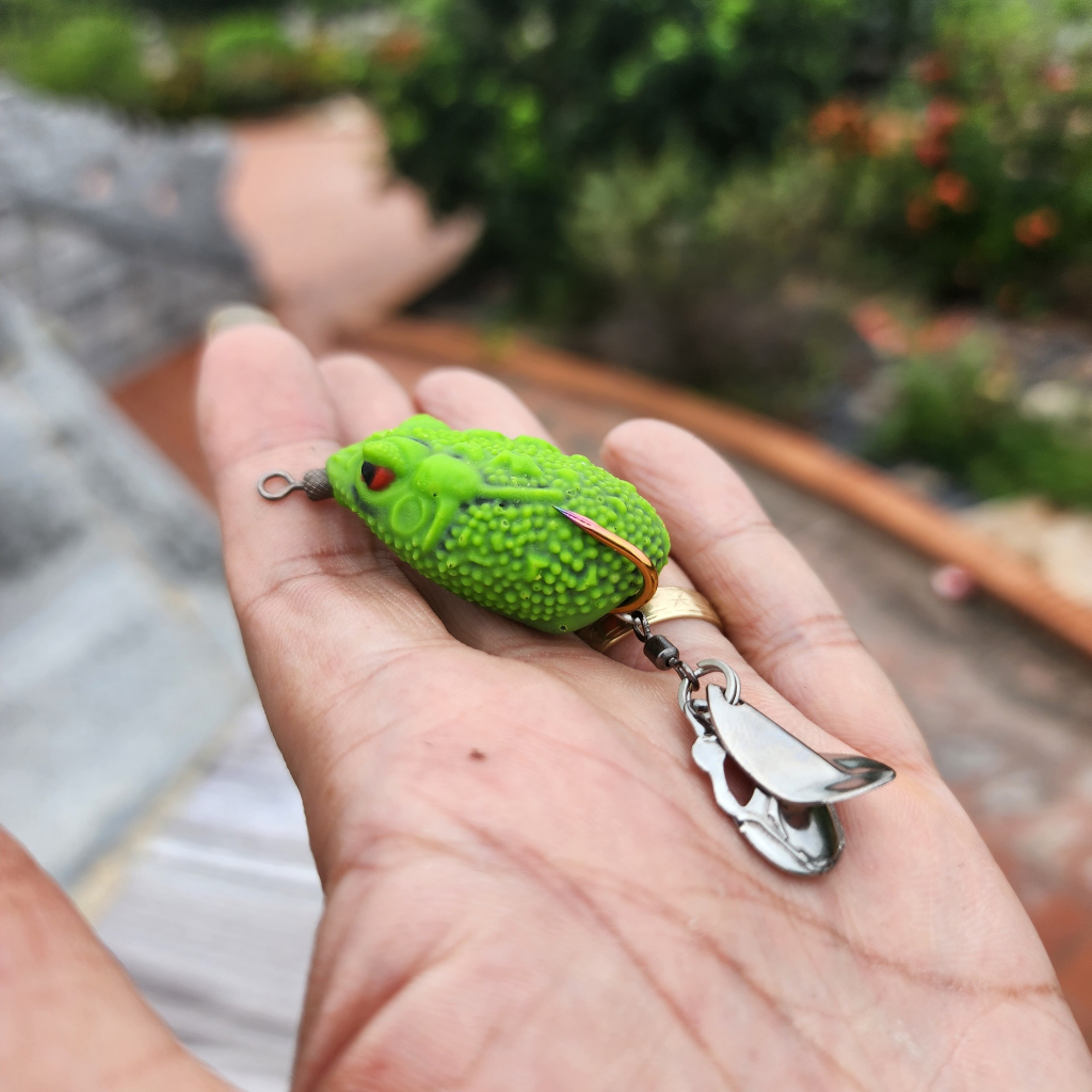 Nhái Hơi Cóc Độc 🍎Cam Kết Chính Hãng Chất Lượng 🍎 Nhái Hơi Câu Lóc