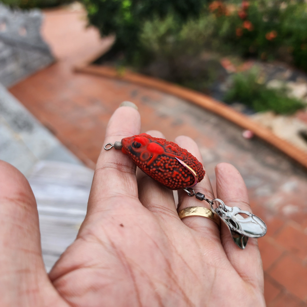 Nhái Hơi Cóc Độc 🍎Cam Kết Chính Hãng Chất Lượng 🍎 Nhái Hơi Câu Lóc