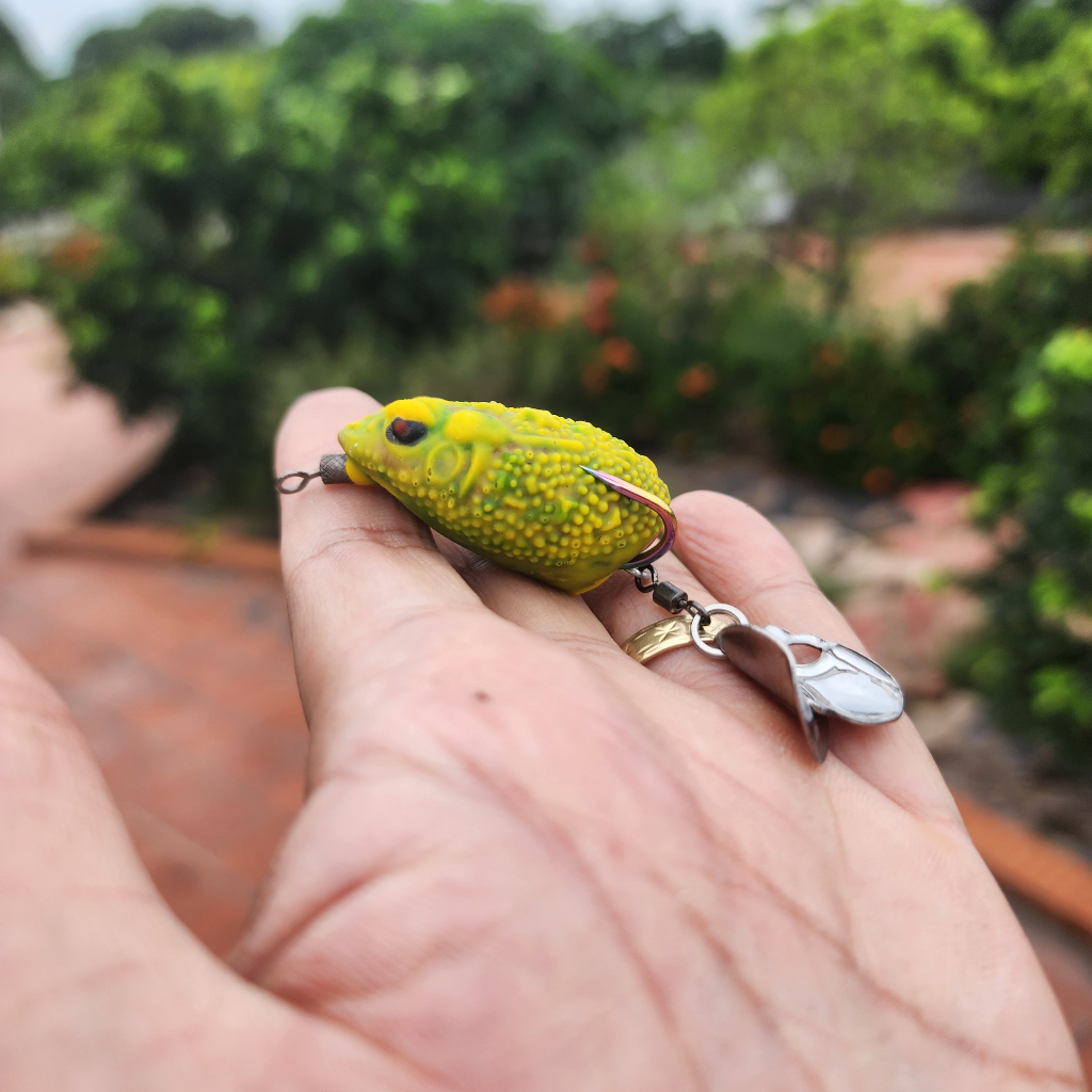 Nhái Hơi Cóc Độc 🍎Cam Kết Chính Hãng Chất Lượng 🍎 Nhái Hơi Câu Lóc