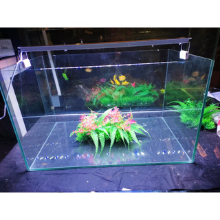 Bể cá để bàn kích thước 50x30x30 cm