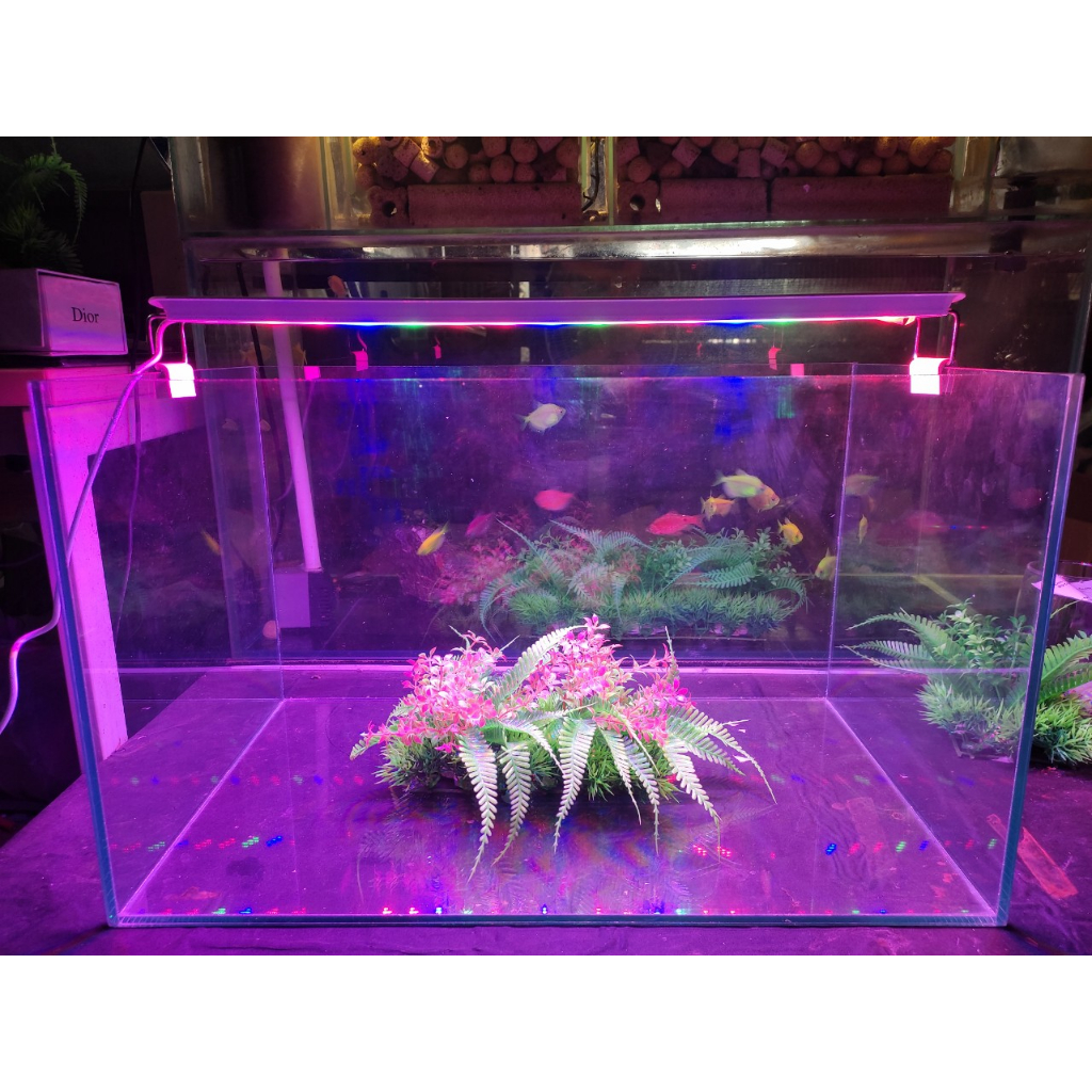 Bể cá để bàn kích thước 50x30x30 cm