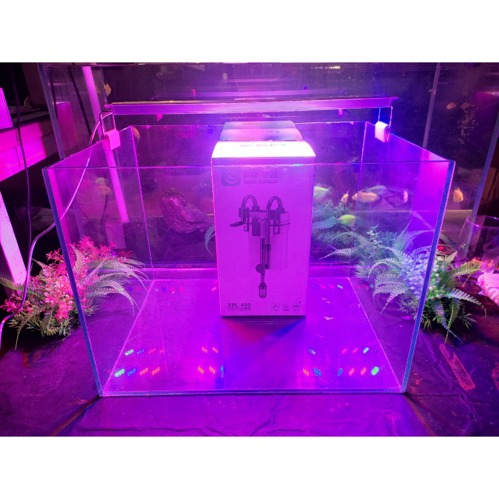 Bể cá mini kích thước 40x30x30cm