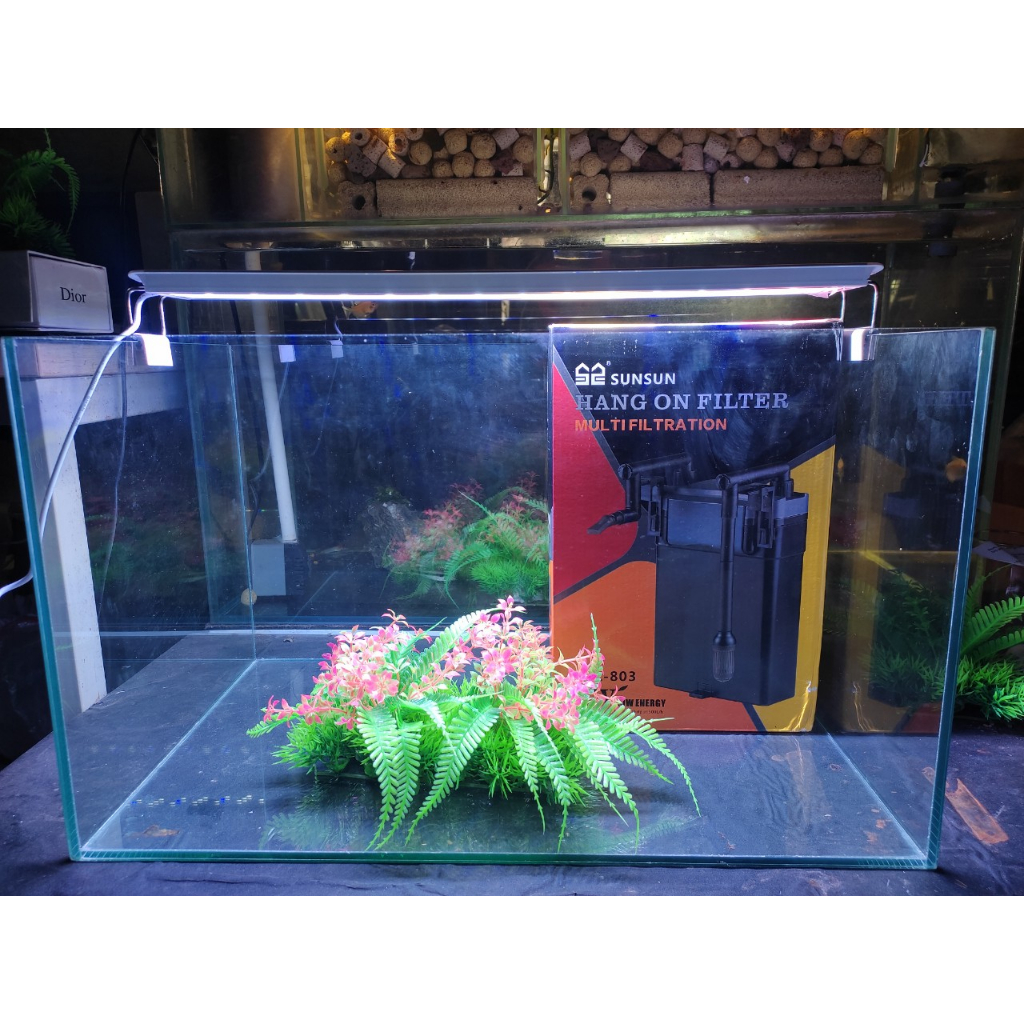 Bể cá để bàn kích thước 50x30x30 cm