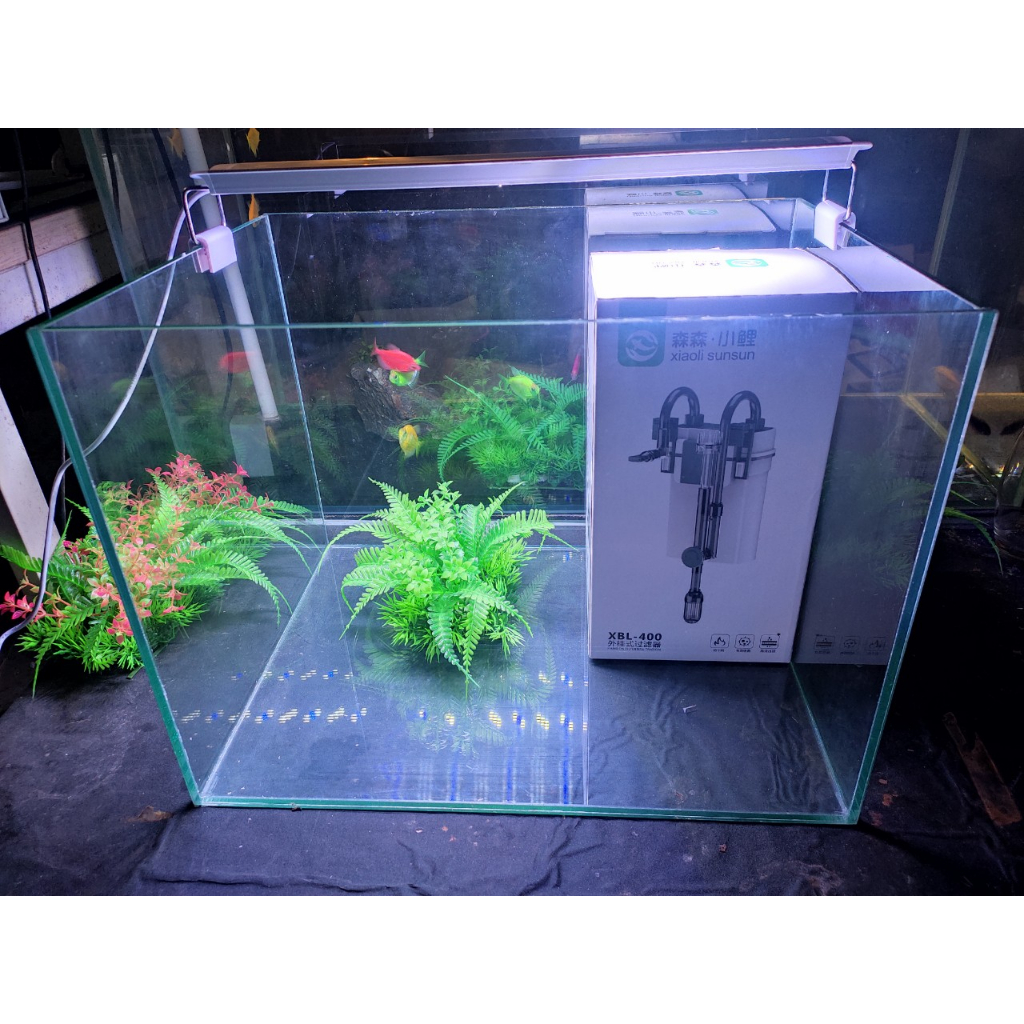 Bể cá mini kích thước 40x30x30cm
