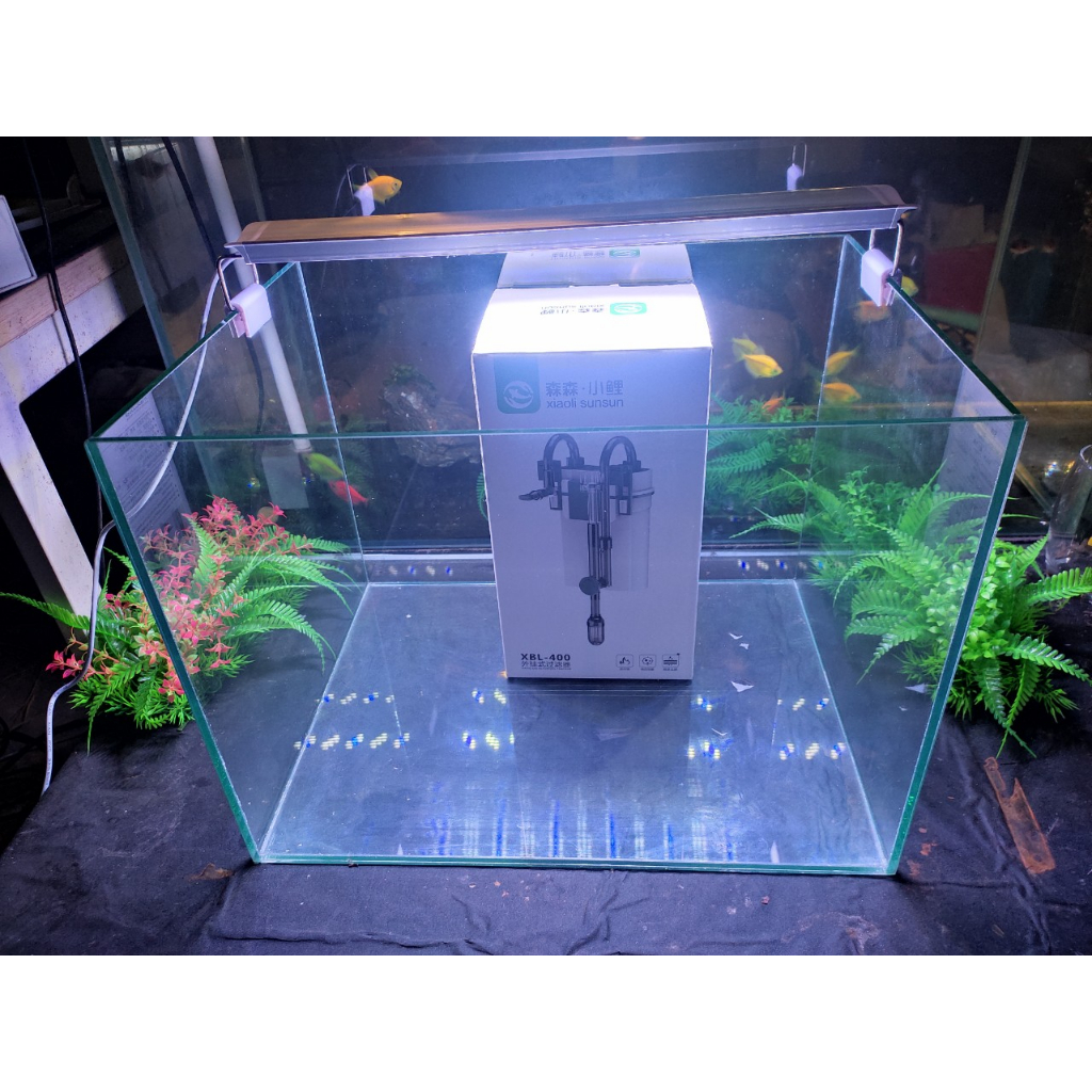 Bể cá mini kích thước 40x30x30cm