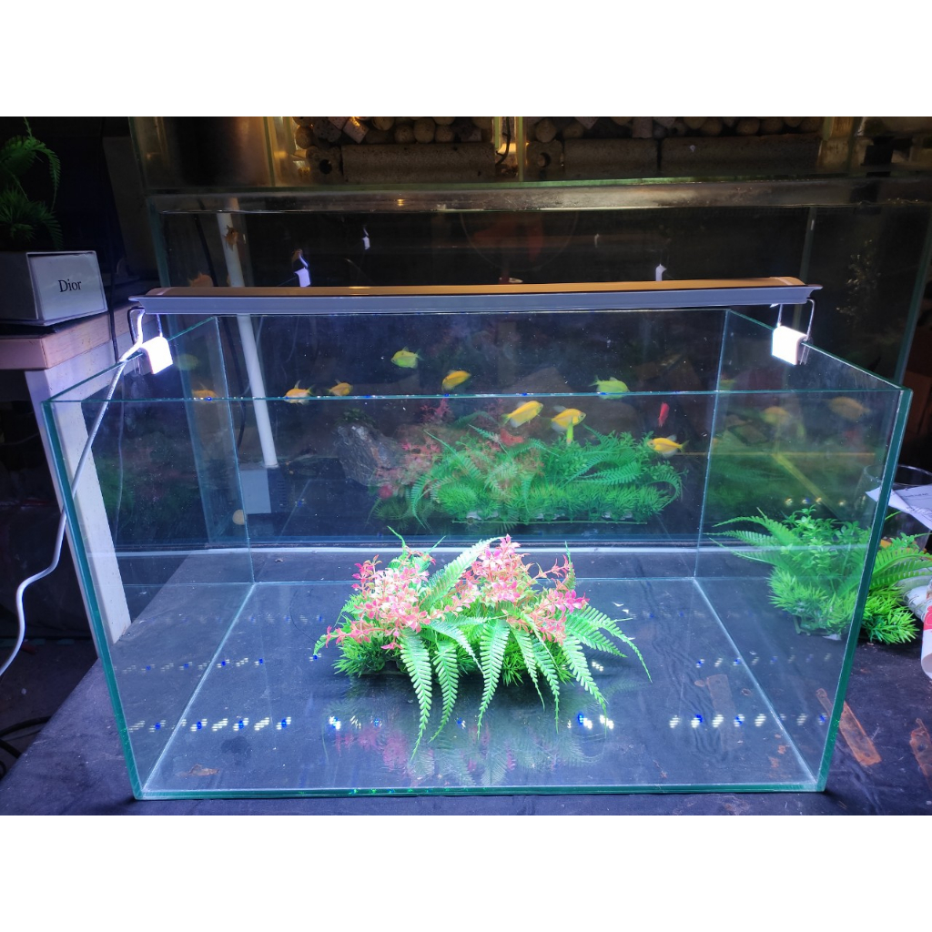 Bể cá để bàn kích thước 50x30x30 cm