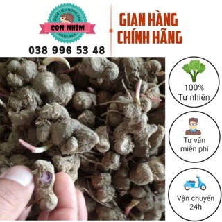 Gừng đen tươi nguyên củ để trồng