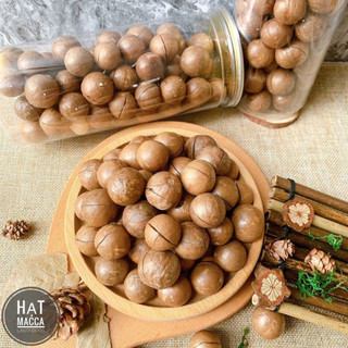 Hạt MACCA sấy nứt tự nhiên, Mắc ca size đại đặc sản ĐakLak kèm đồ tách hạt hộp 500G