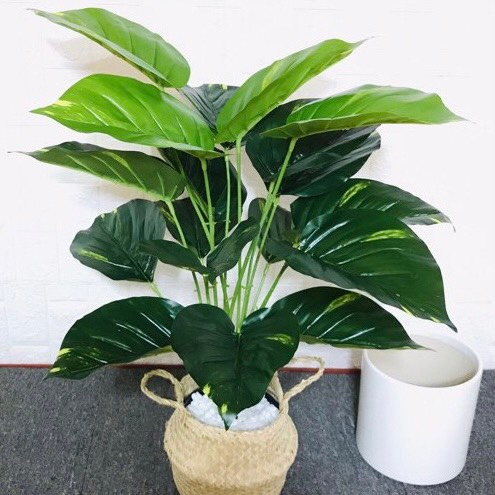 Cây giả Cây Trầu Bà Giả cao 70cm trang trí nhà cửa siêu bền đẹp chất lượng
