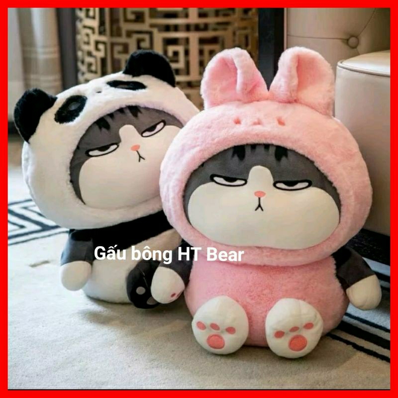Gấu bông mèo hoàng thượng dễ thương