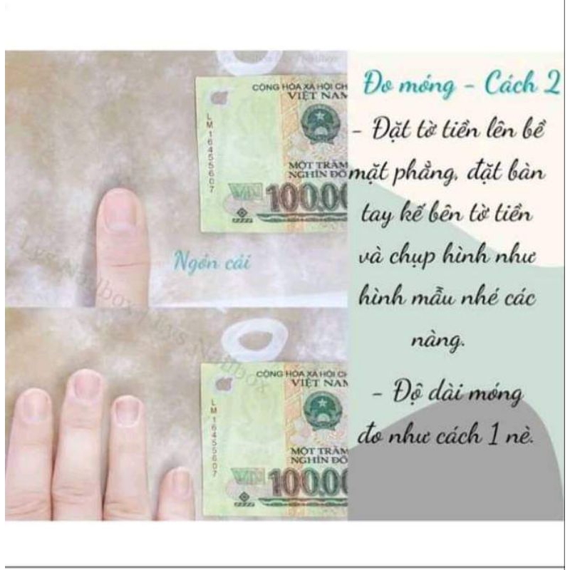 Móng giả_nail box móng thiết kế thú ngoài hành tinh