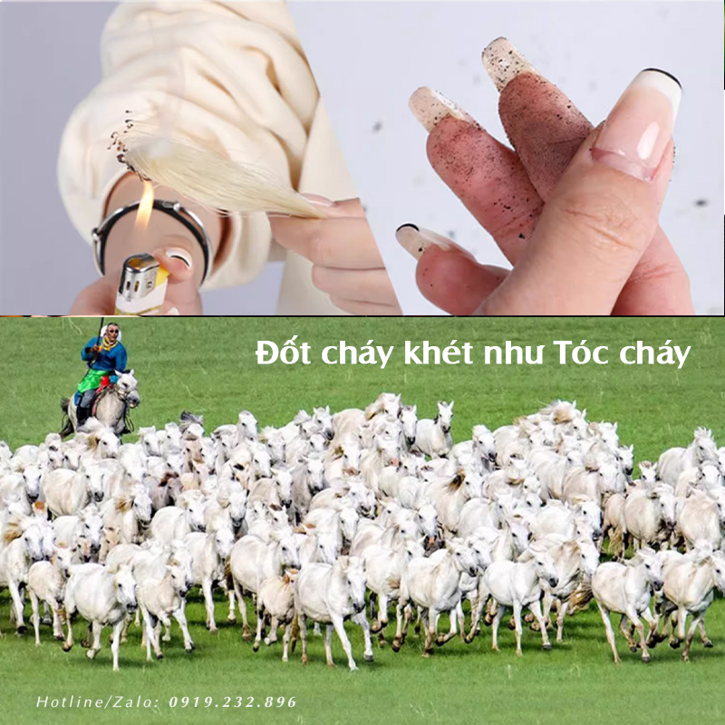 Cung Vĩ Đàn Nhị, Líu Chuyên Nghiệp - Dòng Cao Cấp - Vĩ Đàn Líu đàn Cò hàng chính hãng