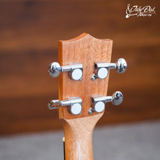 Đàn Ukulele Soprano Chard U-21A, Mặt Đàn Gỗ Gụ