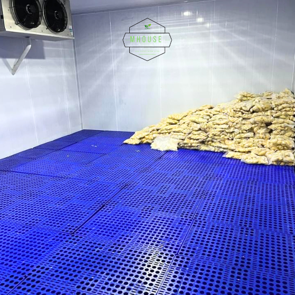 Pallet Nhựa Lót Sàn và Kê Hàng Hóa Kích thước: 100 x 60 x 10 Cm, Tải Trọng 1000 Kg