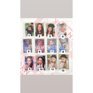 card lẻ 12 card off siêu xinh