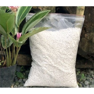 1kg Đá Perlite -  Đá trân châu giúp đất tơi xốp, nhẹ, thoáng khí