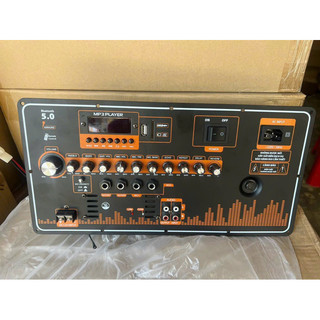 Bo mạch loa kéo 4 tấc đôi T21 Có Reverb | Công suất lớn