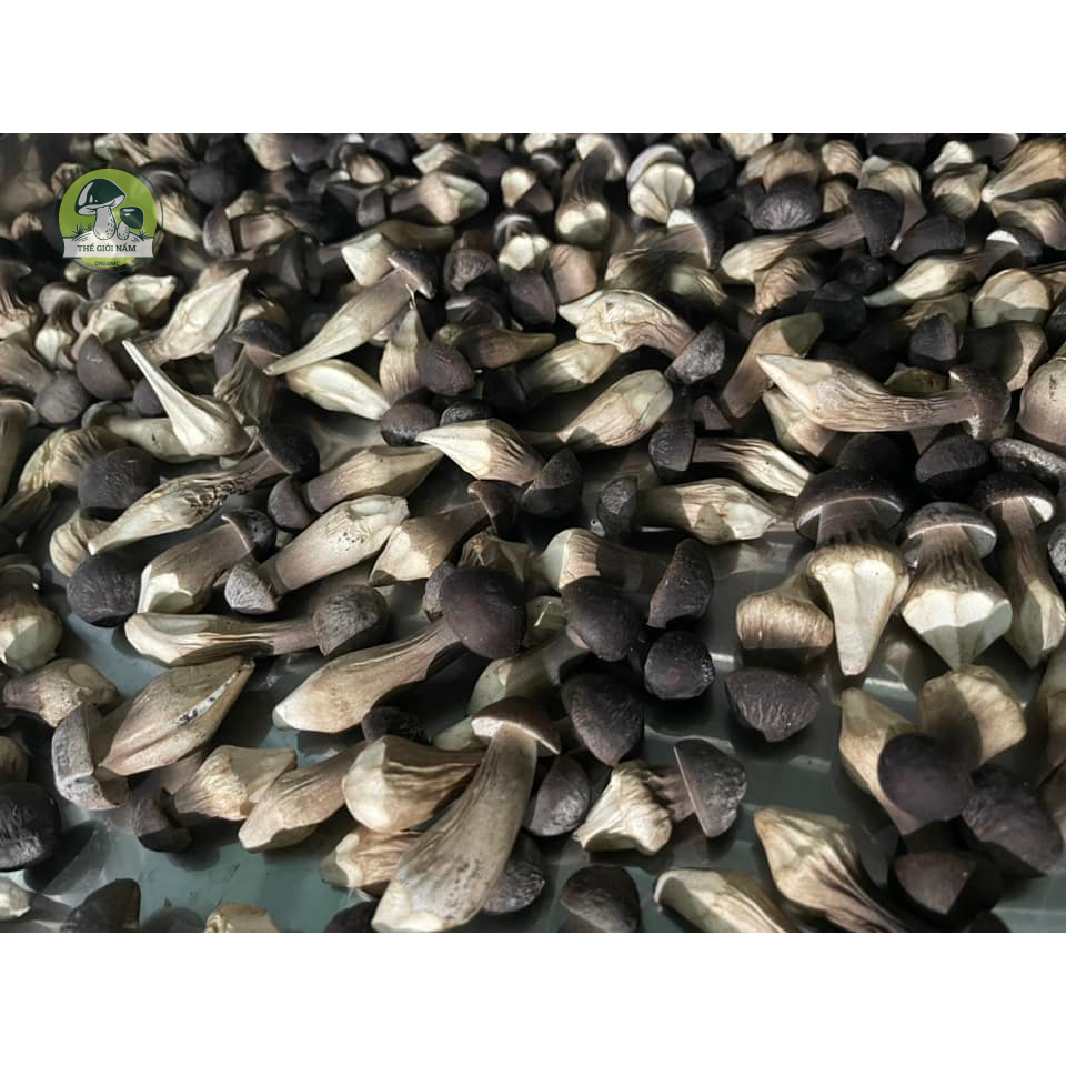 Nấm Mối Đen Sấy Thăng Hoa 100gr/túi