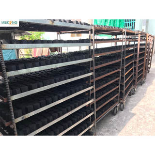 10kg Than dừa BBQ