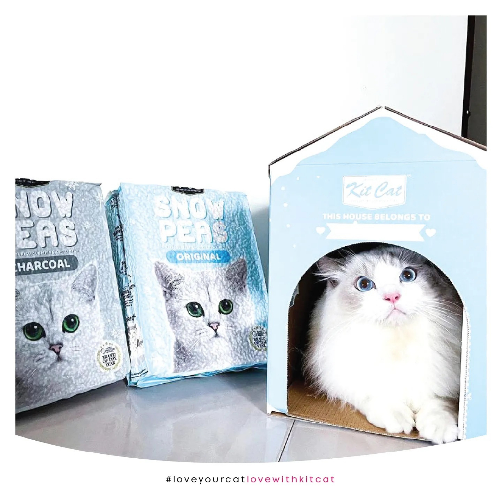 KITCAT SNOW PEAS - CÁT VỆ SINH CAO CẤP CHO MÈO