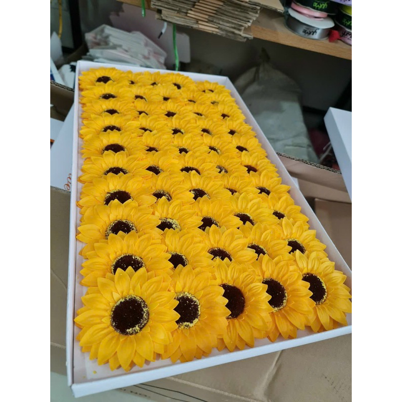 Hoa sáp hướng dương