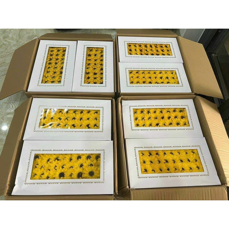 Hoa sáp hướng dương