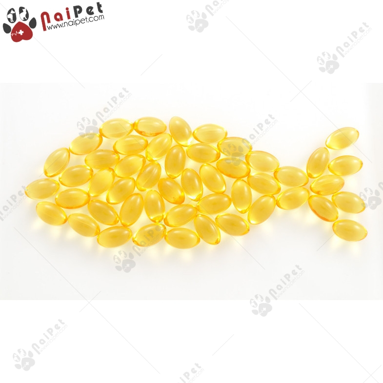Dầu Cá Bổ Sung Omega 3 Cho Chó Mèo Fish Oil O3 Gold Thái Lan