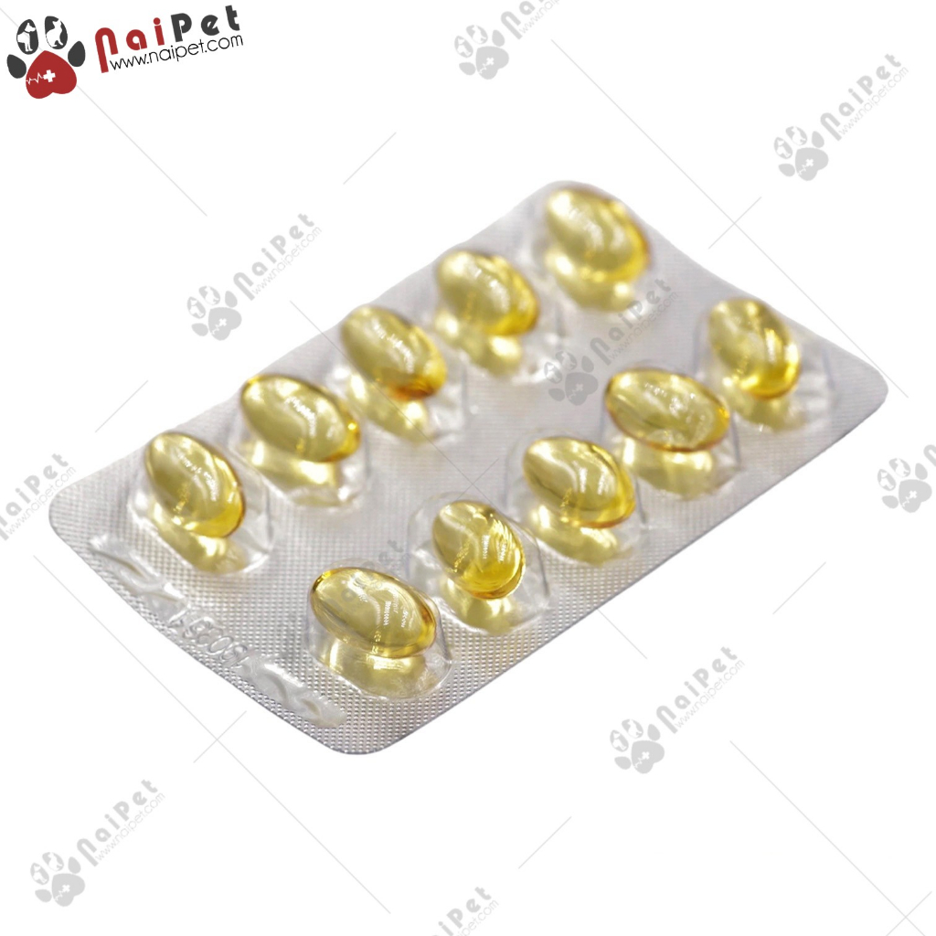 Dầu Cá Bổ Sung Omega 3 Cho Chó Mèo Fish Oil O3 Gold Thái Lan