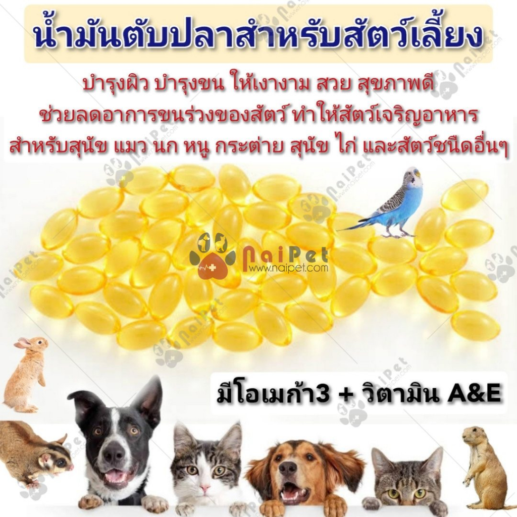 Dầu Cá Bổ Sung Omega 3 Cho Chó Mèo Fish Oil O3 Gold Thái Lan