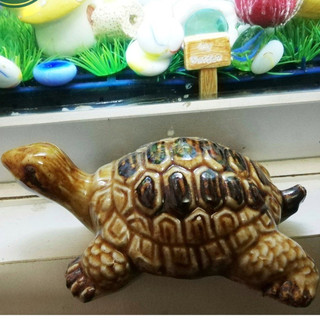 Rùa trang trí bể cá, làm mô hình, tiểu cảnh sân vườn size  3,5 x 11cm